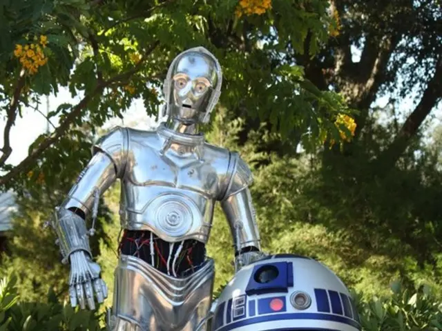 Autonomous Mushroom Harvesting Technology Boosted by $40 Million Investment from 4AG Robotics