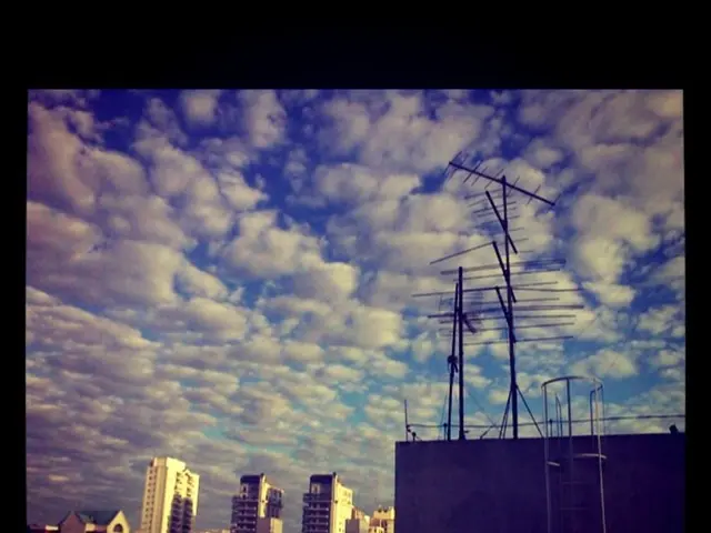 anticipated significant expansion in the RF Over Fiber Market at a rate of 8.5%