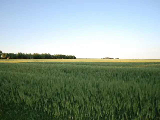 Investment body NILGOSC implements pass-through voting for inactive investment funds