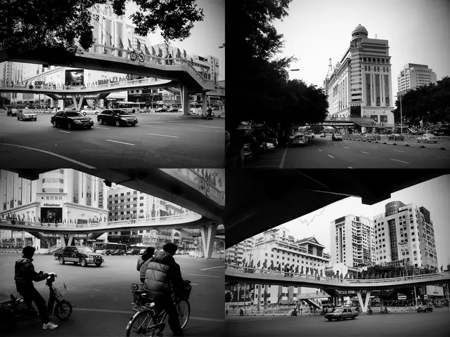 Investigating the Entwined Areas of Crowdfunding Patent Litigation in Legal Realm