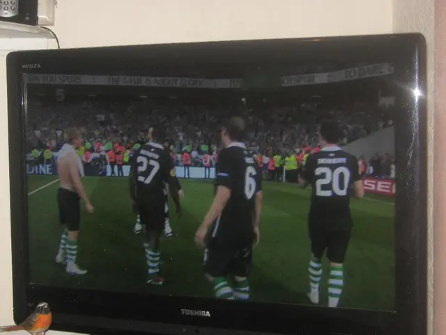 Confronting the Surf: The Struggles of IPTV Service Providers to Maintain Continuity