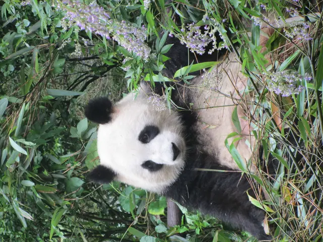 Performing In-Depth Data Breakdown and Interpretation