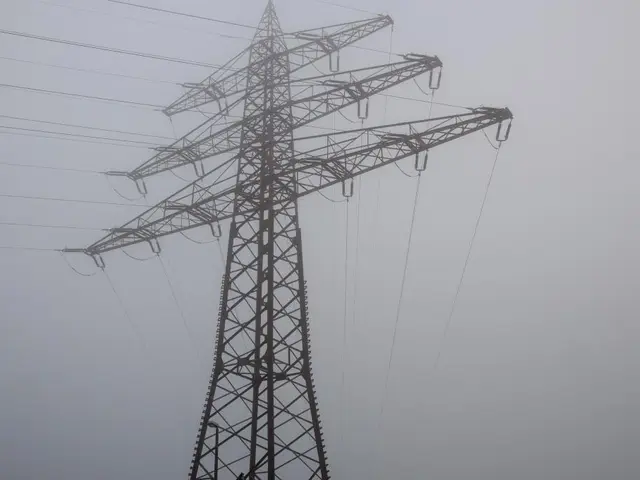 Renowned Physicist Michio Kaku