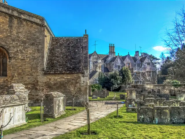 Home-grown Magdeburg venture transforms dwelling spaces by introducing lush greenery indoors