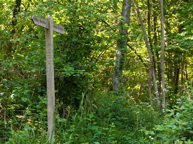 Daily Wordle solution and suggestions for March 6, 2025: