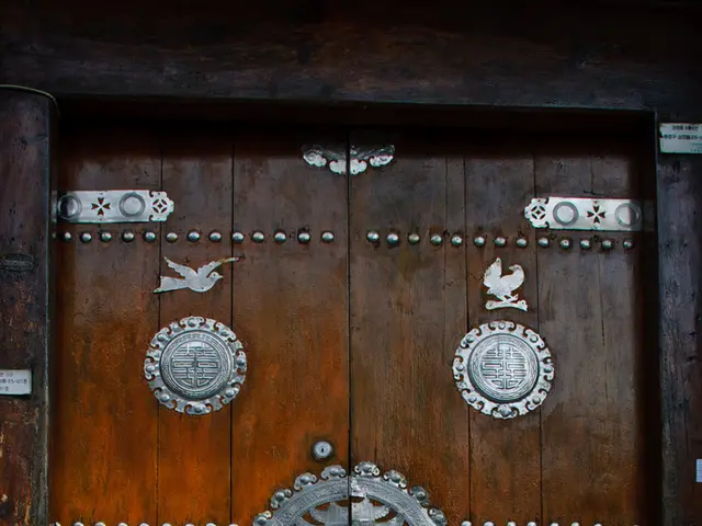 Evolution and Purpose Behind the Creation of Kalamein Doors