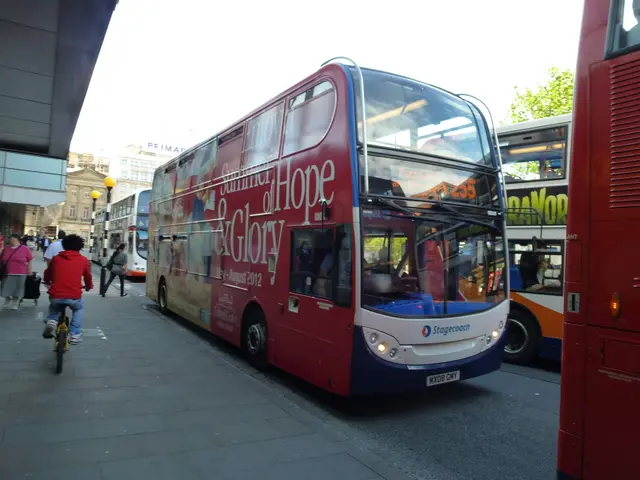 Peering for the vistas: An exploration of the panoramic vantage points