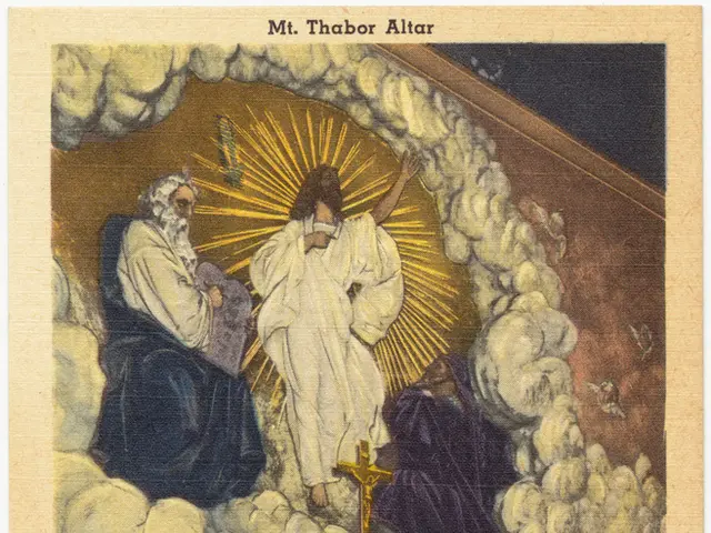 Understanding Methods to Excise Figures in Adobe Illustrator and Optimal Substitutes for the...