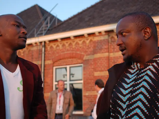 Tighter Inspection of Venture Capital for African Businesses versus Their Global Equivalents