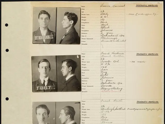 Exploring the Increasing Rely on Artificial Intelligence for Picture Categorization