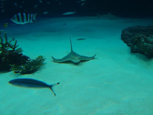 Substantial Hydrothermal System Unearthed in Depths of the Pacific Ocean