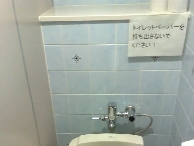 Toyota's Toilet Reveal: Unveiling the Unexpected Rationale!