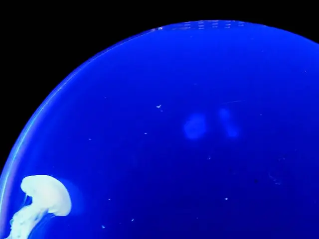 Oddity of the Cambrian Period: Opabinia, the Five-Eyed Fossil Find