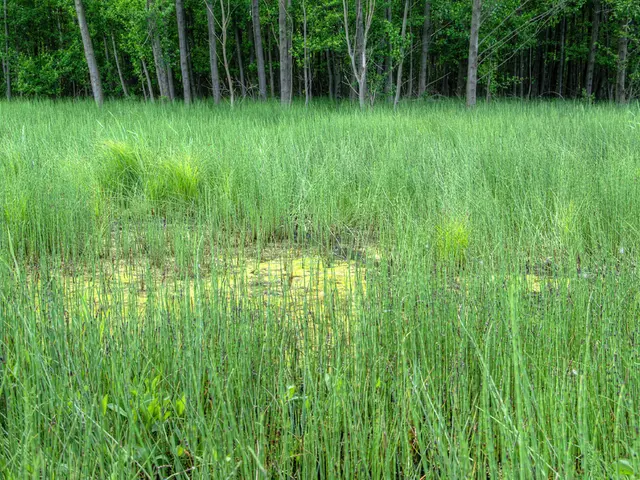 AI and Blockchain Integration Transforms Global Agriculture Through Dimitra Protocol