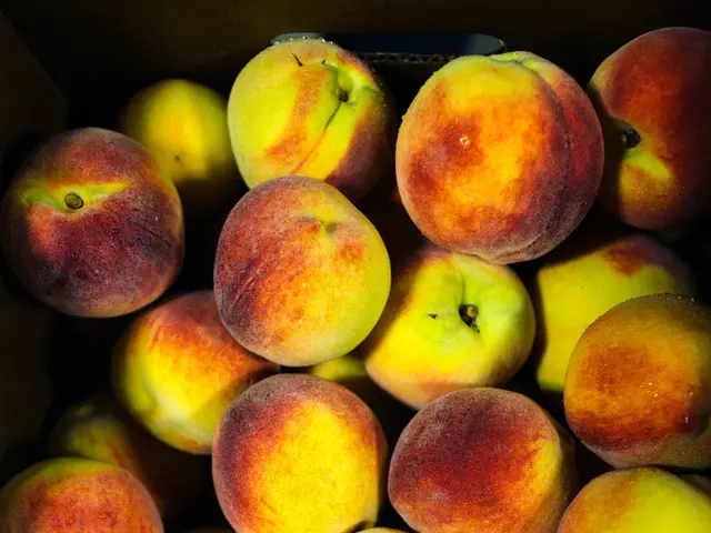 Record-breaking earnings of $94 billion for Apple, propelled by innovative climate solutions...