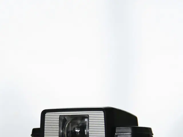 Compact Canon SL3's Impressive Performance Underwater Makes It the Tiniest DSLR for Submarine Shots