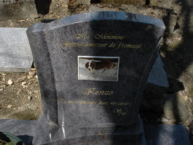 Stopping malicious attacks from hundreds of outdated domain names on PyPl