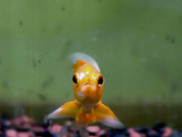 Ocean scientists unearth storied $2 quadrillion gold deposit, but a significant condition surfaces!