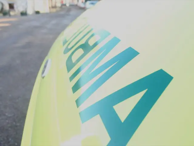 High-capacity Fuel Cell Factory by Elcogen Launches in Europe to Meet Increased Renewable Energy...