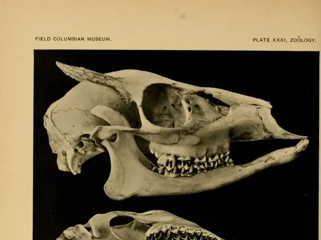 Witness the premier of "Naming the Dead" on National Geographic, August 2. Stream the show the...