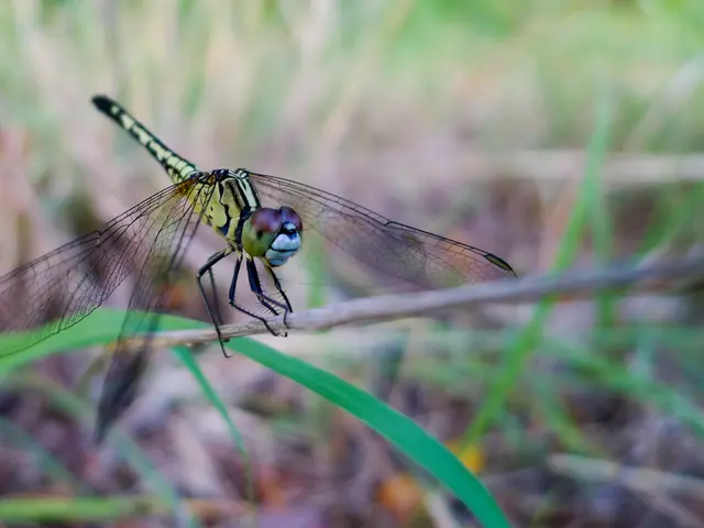 Developer of Escape from Tarkov firmly insists that players who wish to obtain the game on Steam...