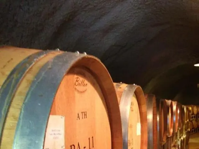 SSH Tunneling Debuts with Xyte: Exploring the Advantages for Encrypted Data Exchange