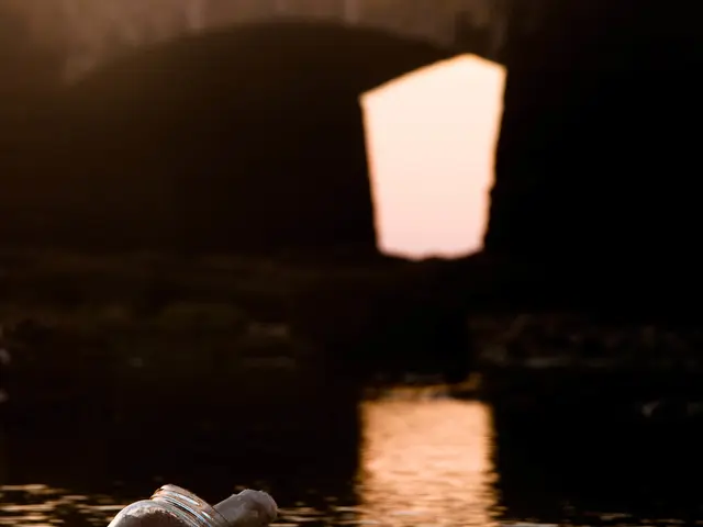 Company Contemplates Creating a Token for Their Network