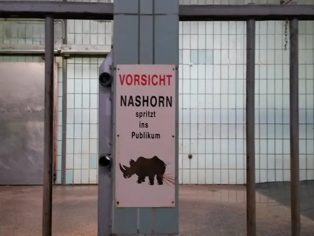 "New users on the Pi Network can now expedite their KYC process, granting them early access to...