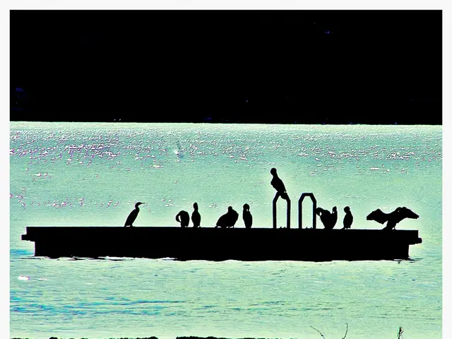 This image is a painting. In this image we can see water, boat and birds.