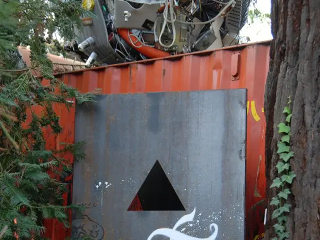 In this image, we can see a painting on the board and in the background, there are trees and there...