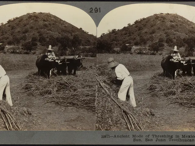 This picture shows a collage of couple of pictures. We see hill with trees and we see couple of...
