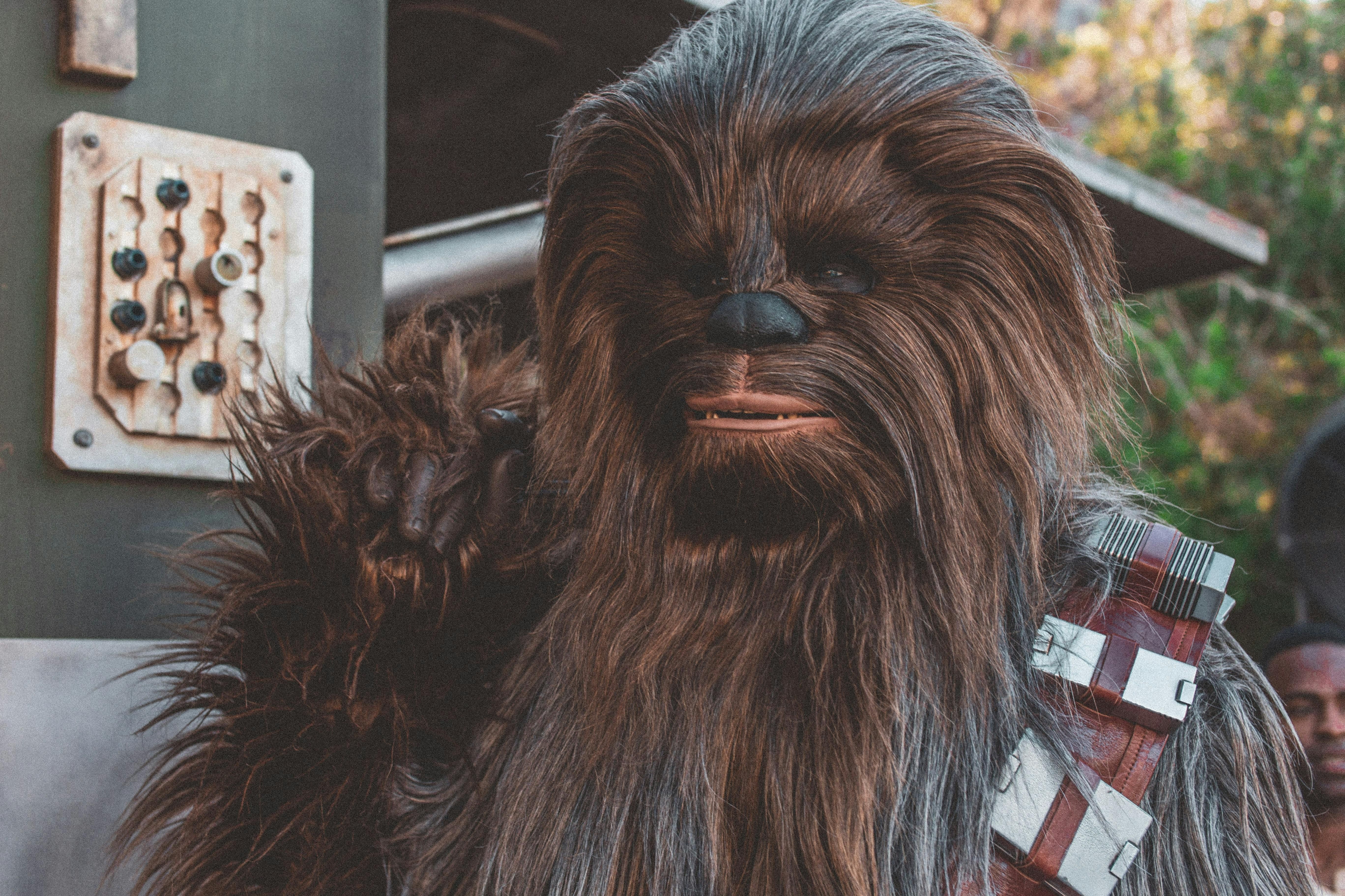 Lucasfilm snapshots capture renowned movie moments from iconic Star Wars series. Lucasfilm's depiction portrayed in newest release