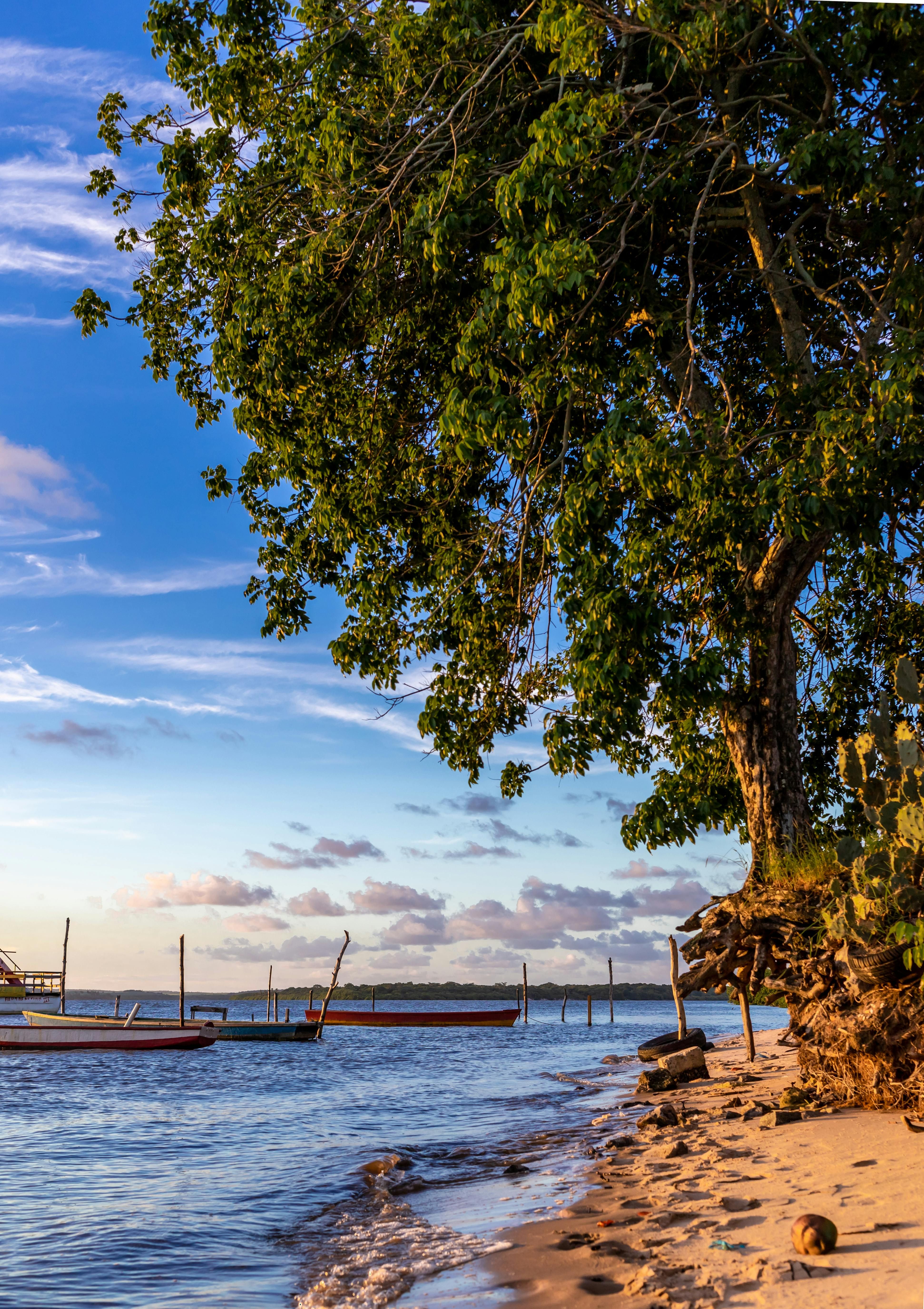 Person posing with an automatic rifle, wearing camouflage and military-style gear, on a forested battlefield backdrop. Despite Dogecoin's ongoing pursuit of a $1 value, the emerging altcoin Remittix, boasting practical real-world applications and robust presale traction, could possibly claim the victorious first leap.