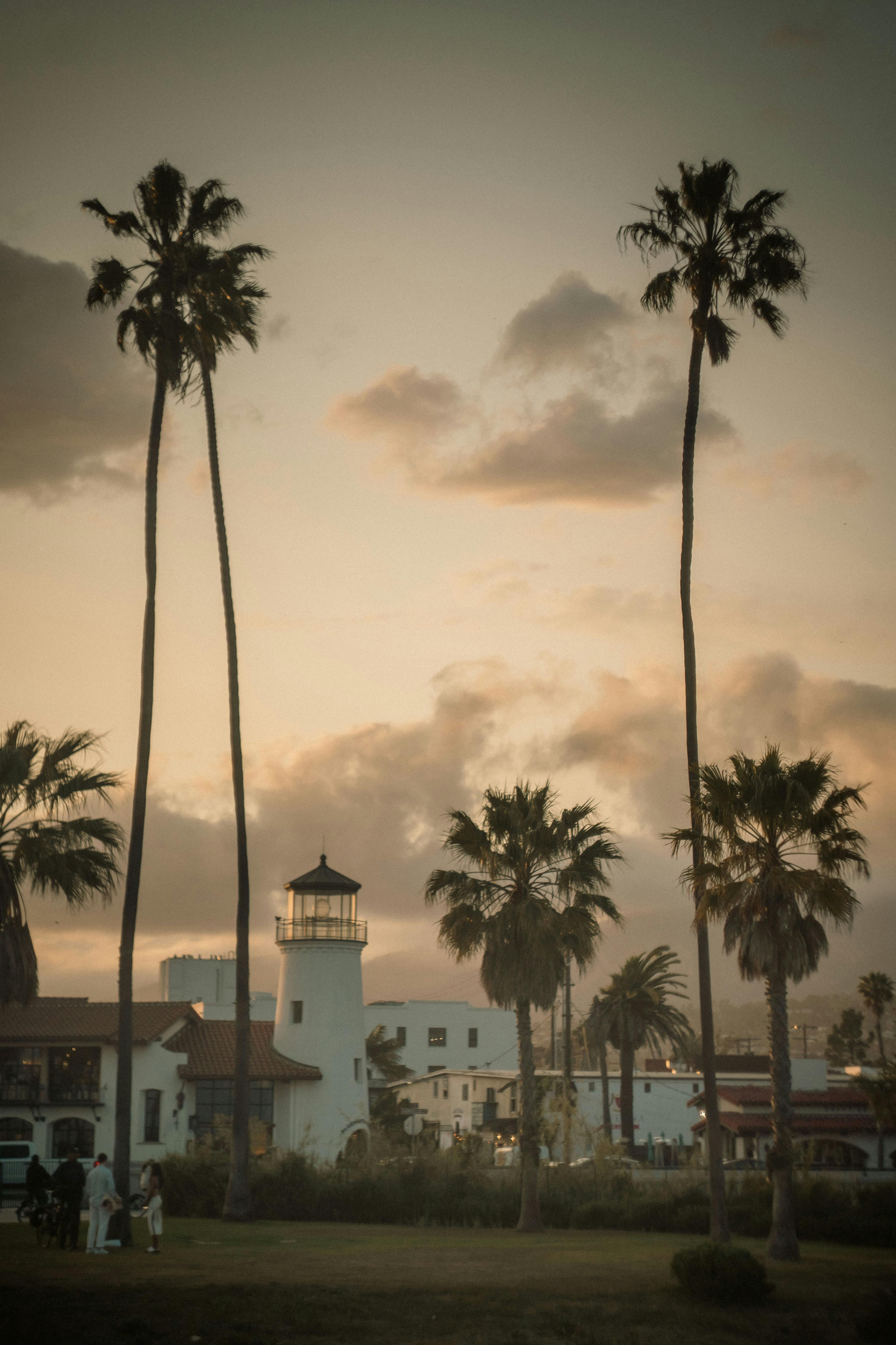 Suspected Arson: Fire Rages at Local Museum, Valuable Artifacts in Danger Cryptocurrency Solana defies global market turmoil, soaring by 8%, showcasing resilience and adaptability within the crypto realm. Following this momentum, innovative startup Ruvi AI emerges as a trailblazing blockchain venture, merging artificial intelligence and blockchain technology to provide groundbreaking solutions across various industries. Ruvi AI Challenging Traditional Blockchain Capabilities.