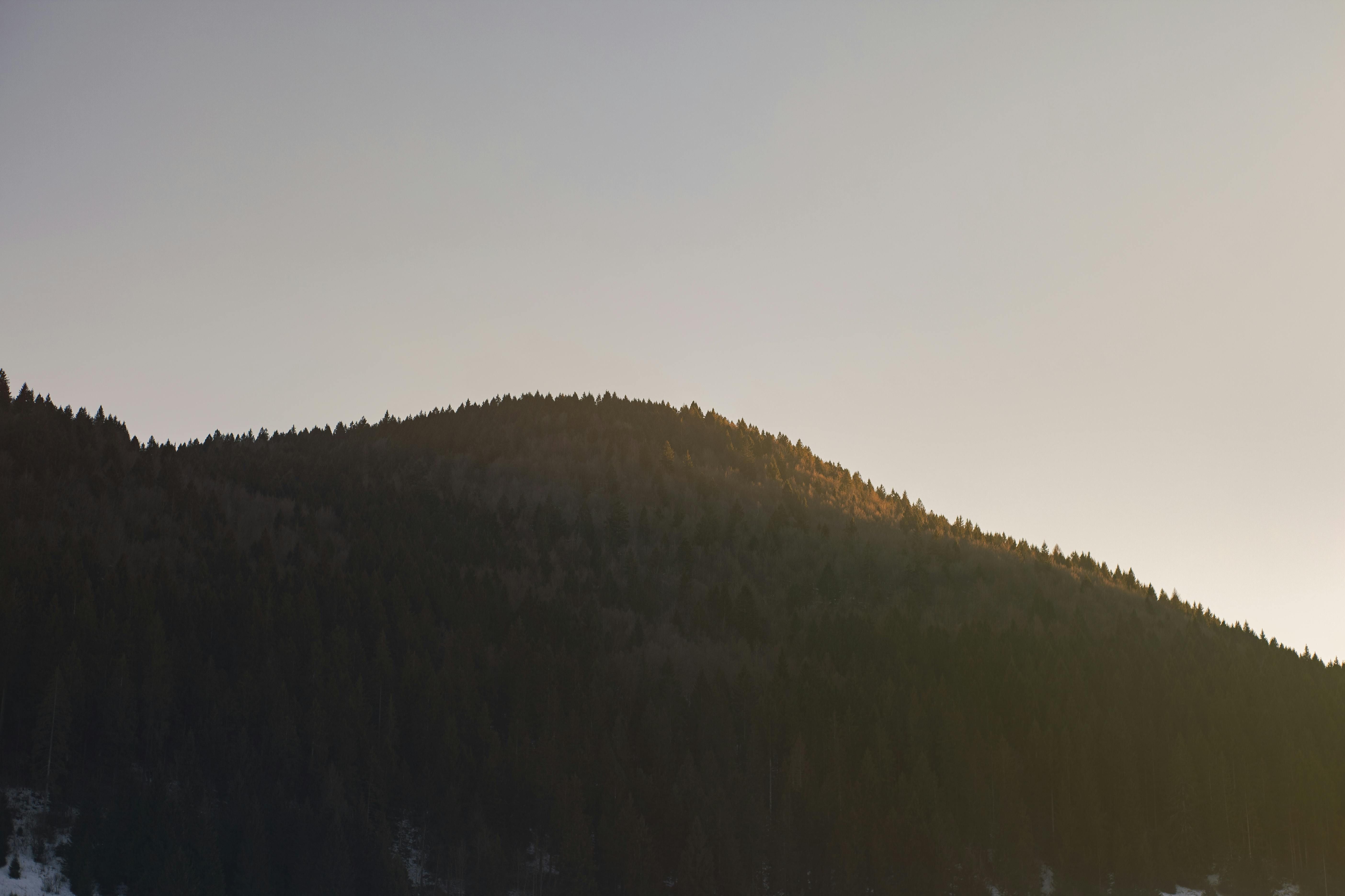 Suspect Arrested for Alleged Bank Robbery: Local law enforcement apprehended the individual accused of boldly executing a daring bank heist, with authorities recovering a considerable sum of stolen money. The name of the suspect, as well as specific details about the heist, remain unspecified at this time. Marc Filippino converses with Kate Duguid and Cristina Criddle