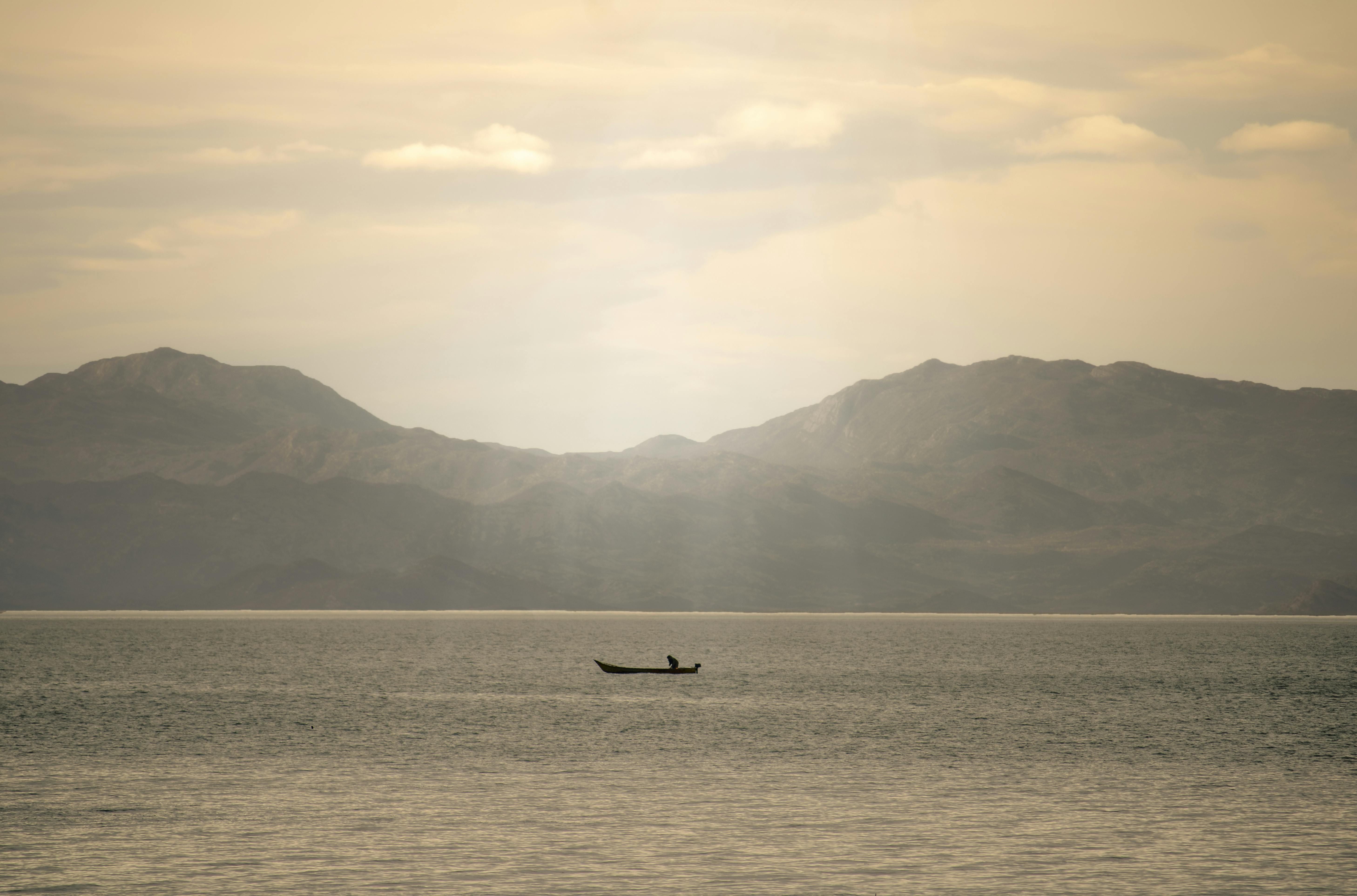 Man arrested for hacking social media accounts of public figures, gaining access to private information Vitalik Buterin suggests transitioning Ethereum to RISC-V, while Qubetics attracts significant investment with its vast presale and distinctive infrastructure.