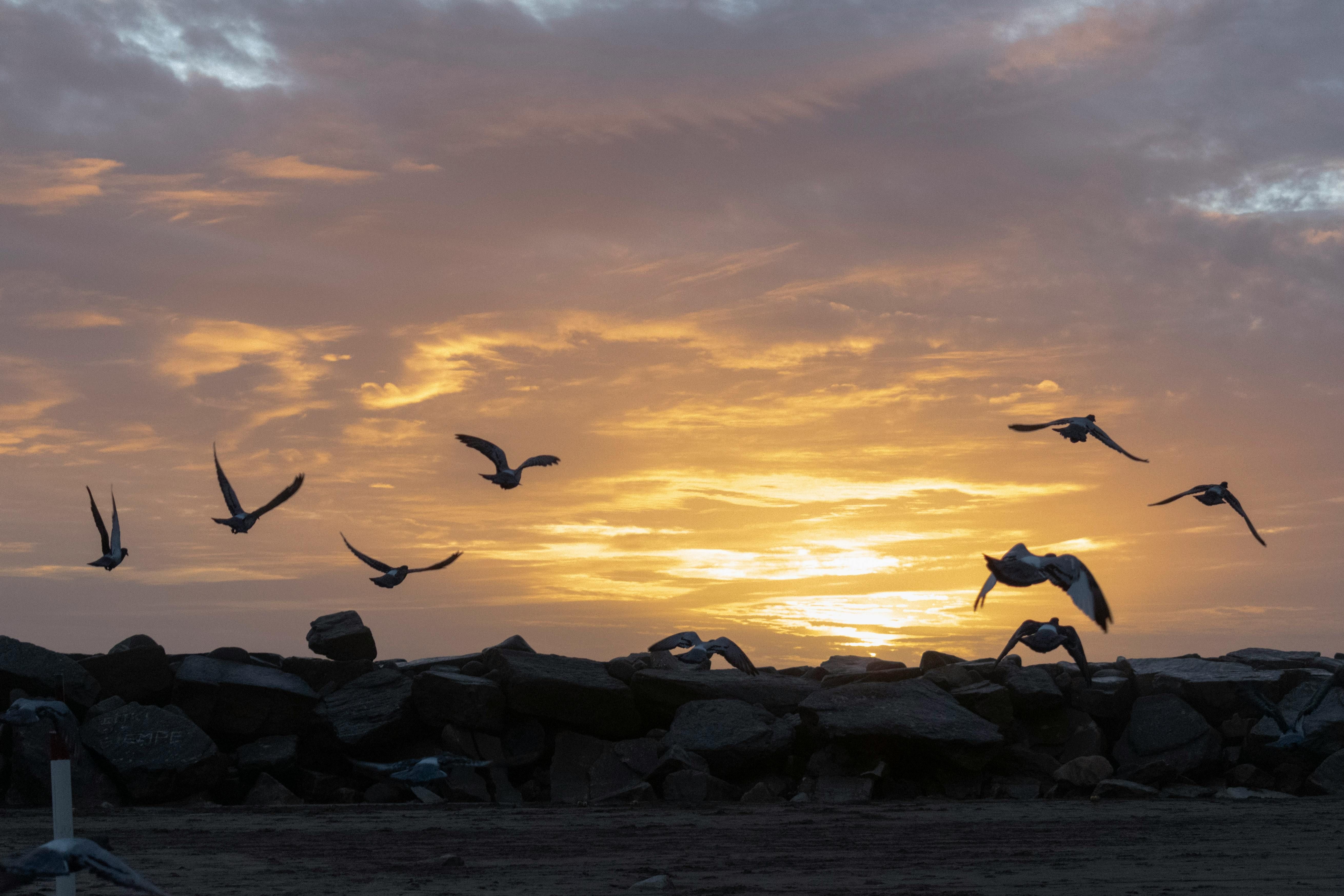 Google Bankrolls Construction of Three Nuclear Power Plants within the U.S.