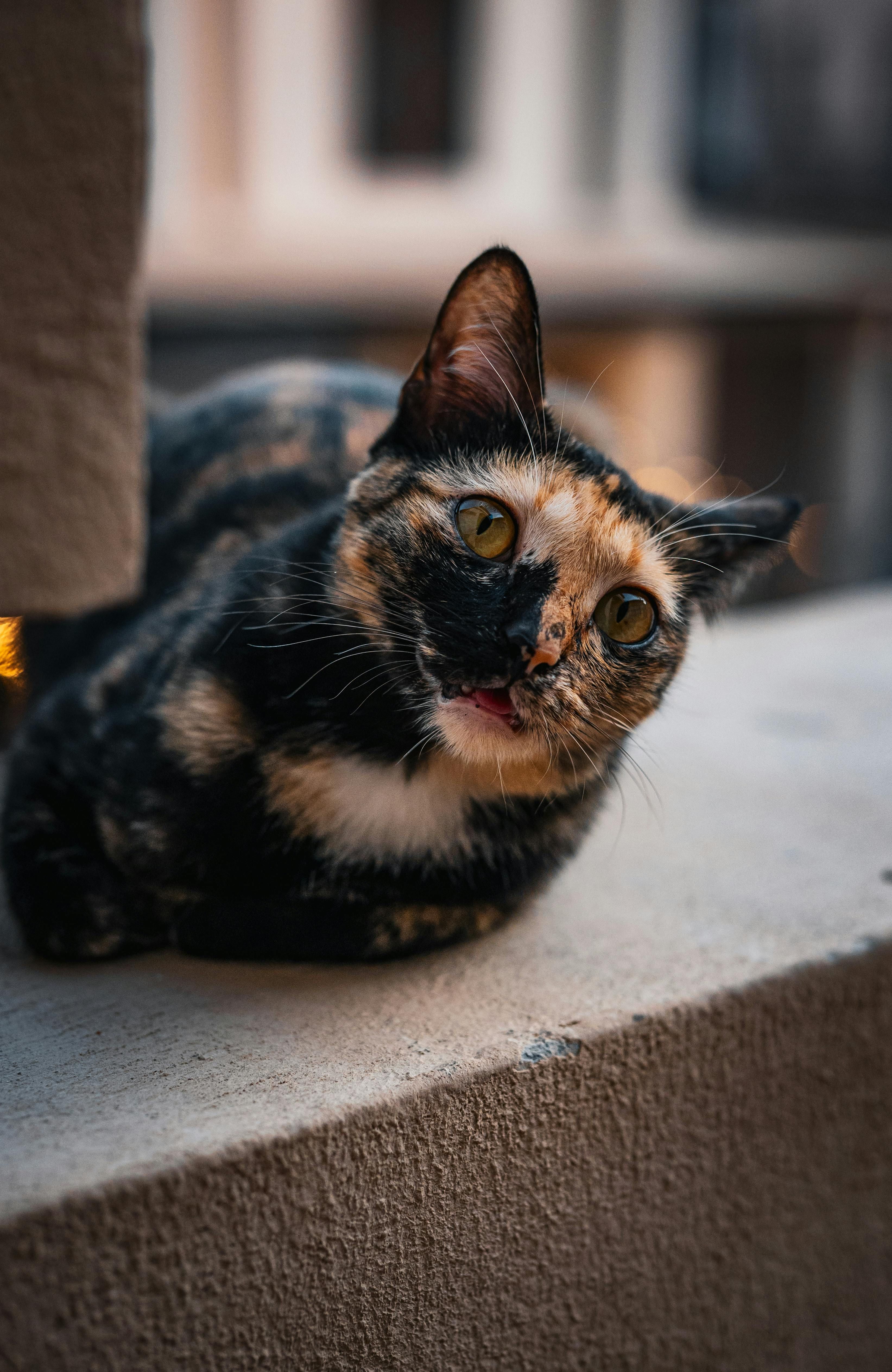 Coinbase's Q1 2025 financial report fell short of predictions, yet robust user engagement and...