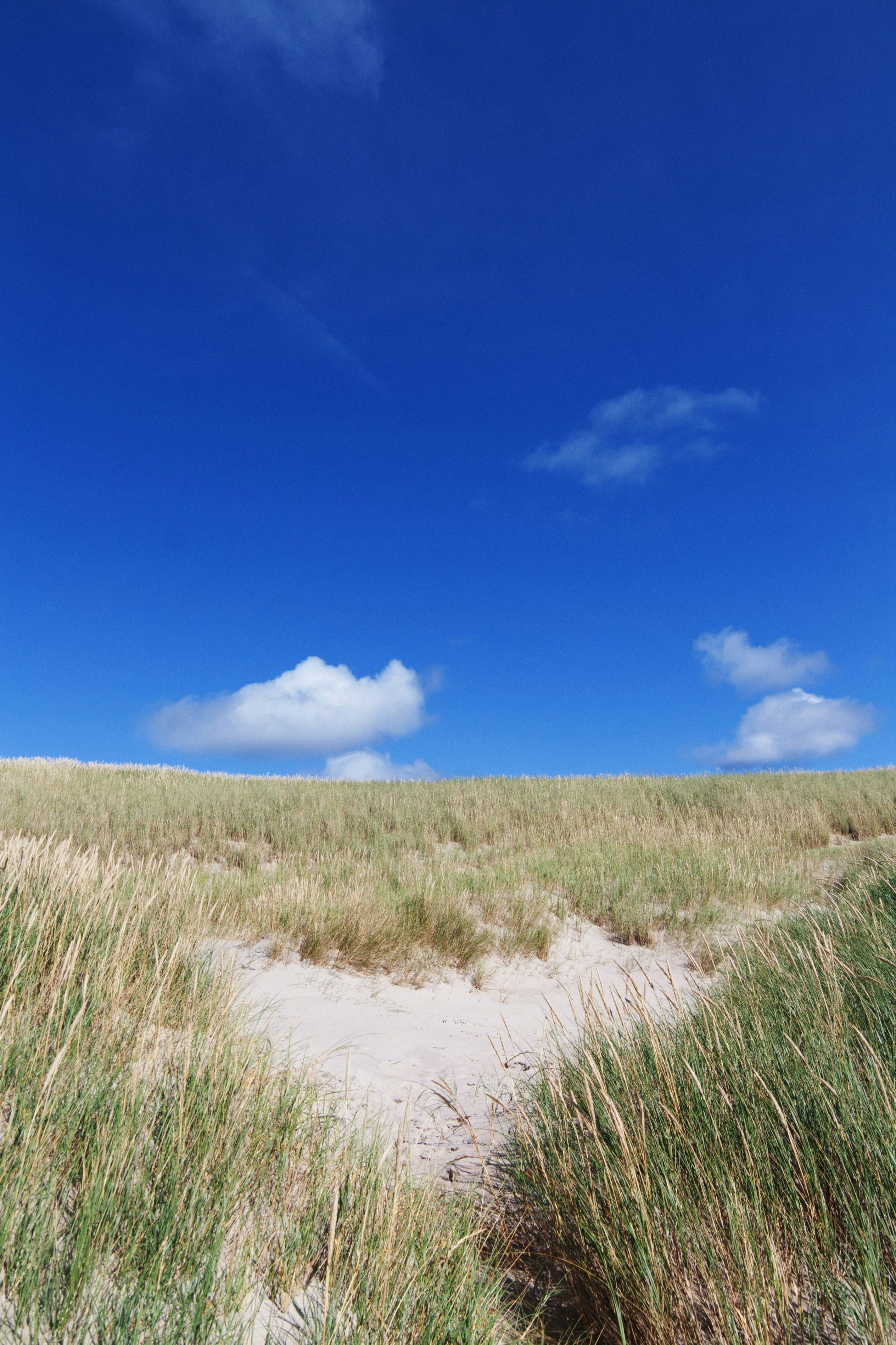 Instagram Plans to Focus on Core Social Functions and Friendship Connections, Based on Recent...