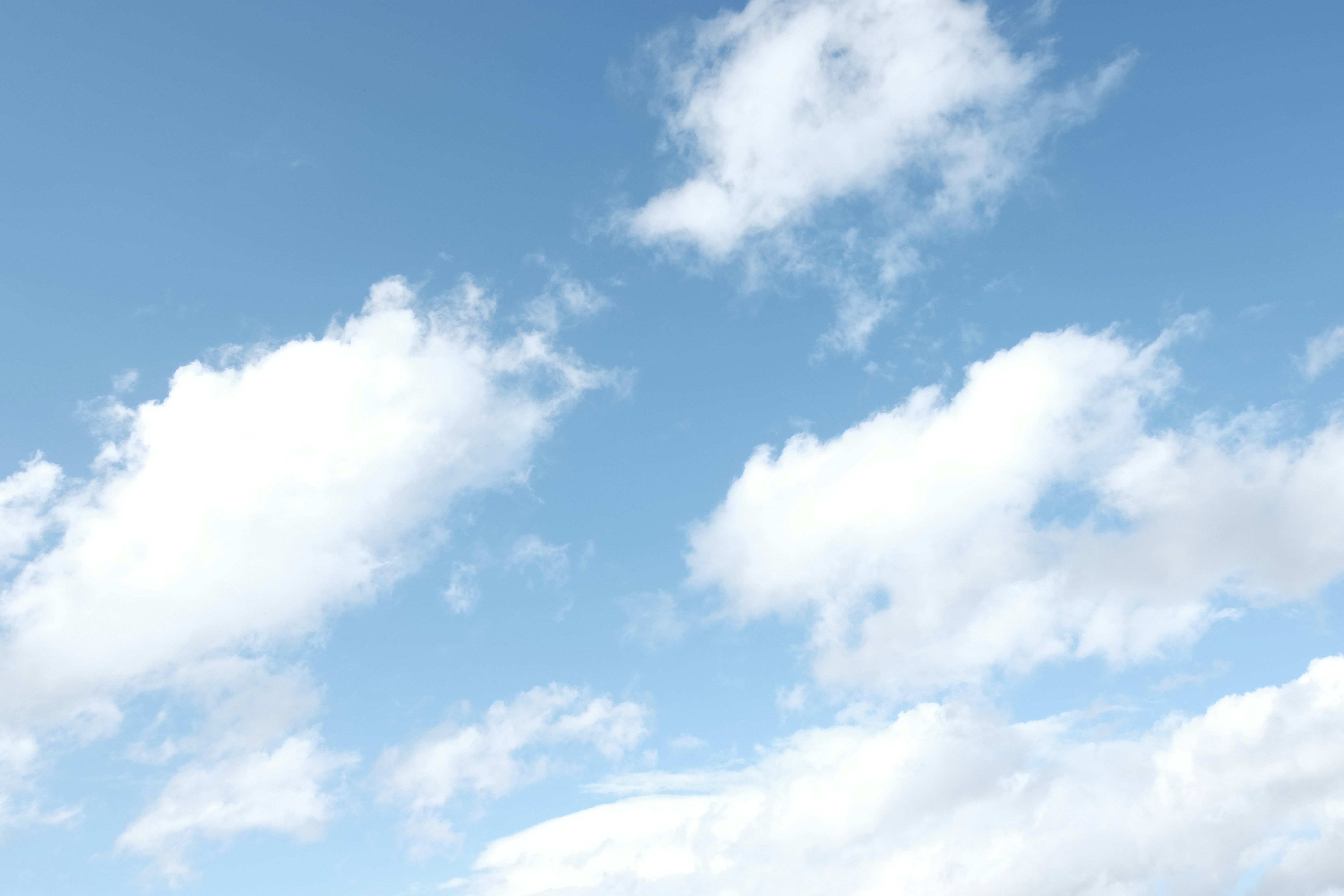 Artificial Intelligence analyzes acoustic information to monitor animal activities amidst cultural...