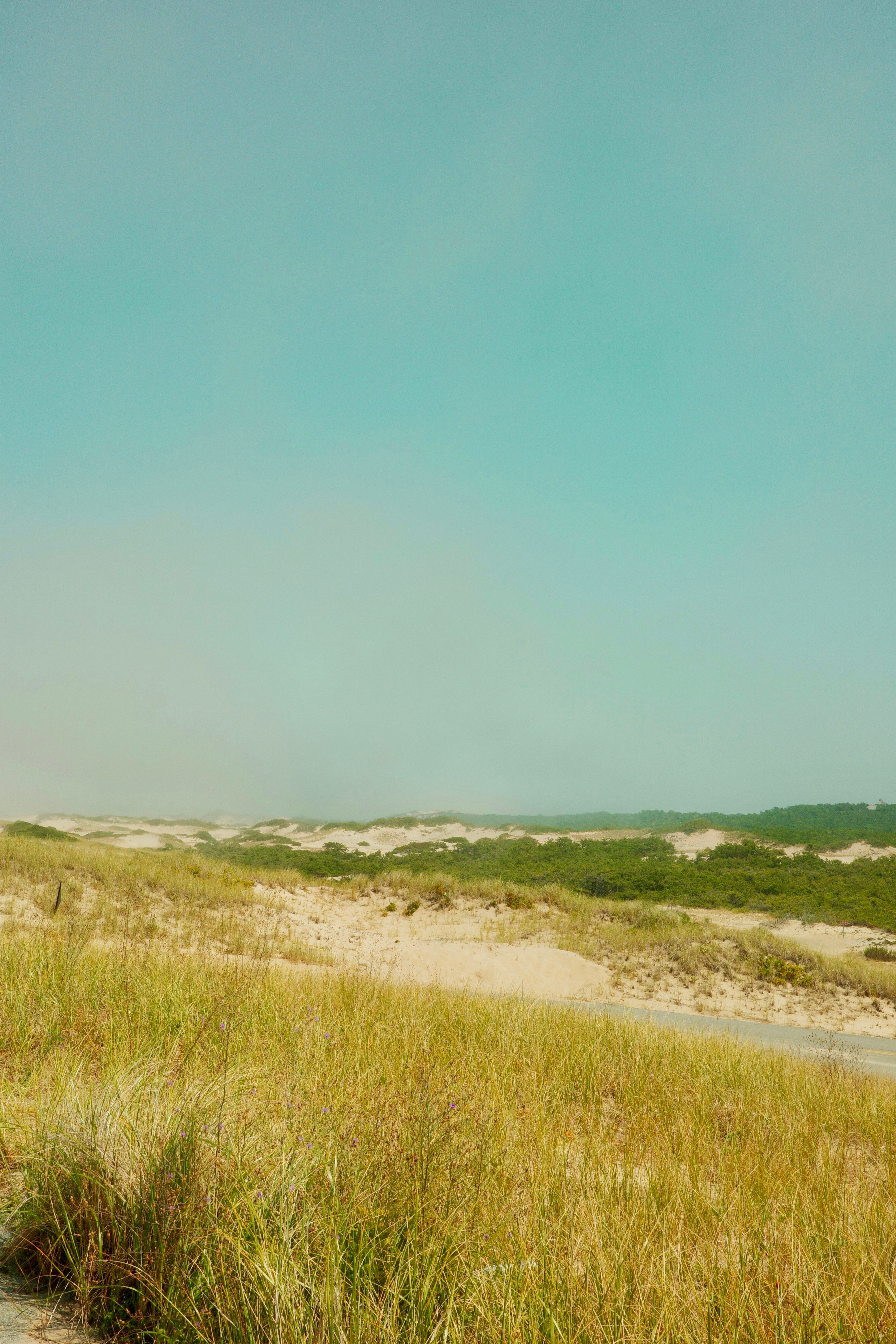 Examining measures that hinder efficiency loss and enhance organizational worth.