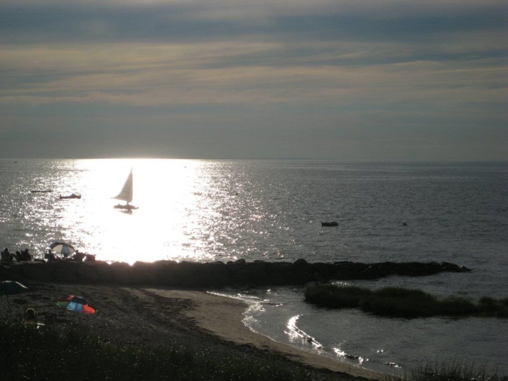 U.S. Data Centers Visualized: New York Times Unveils Map Using 2022 Data from Electric Power...