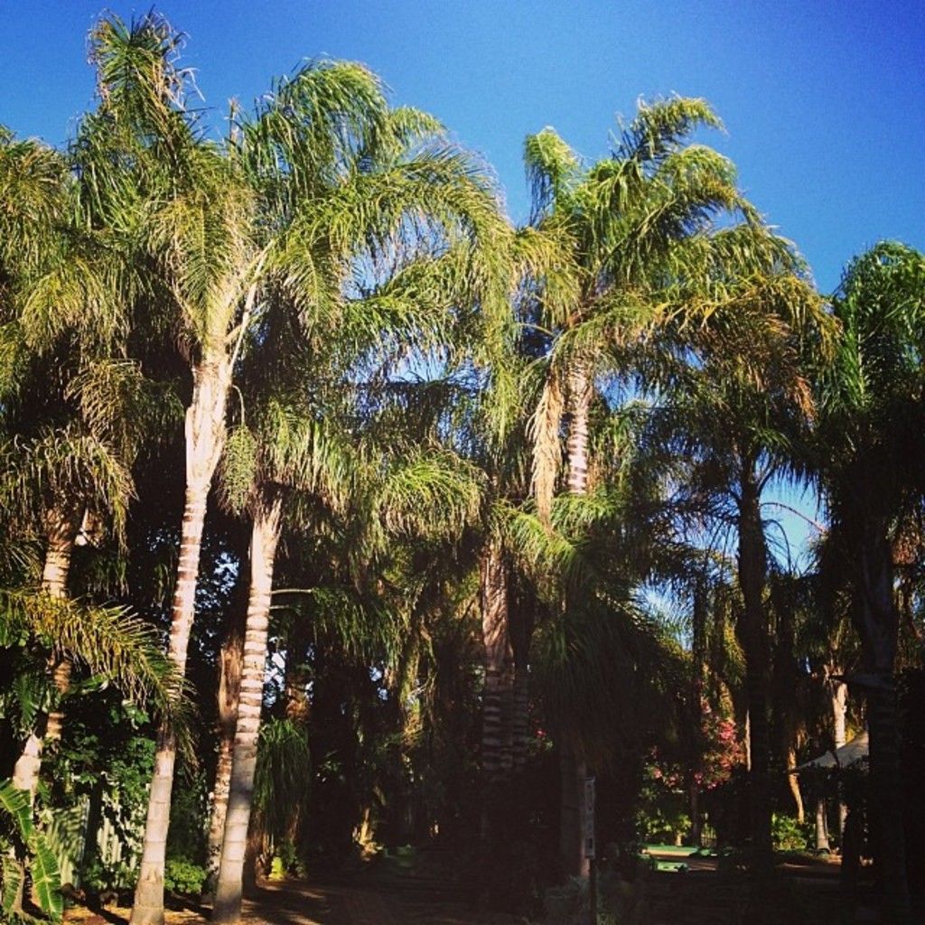 Ethereum Foundation (EF) welcomes Xiao-Wei Wang and Tomasz Stanczak as its new joint executive...