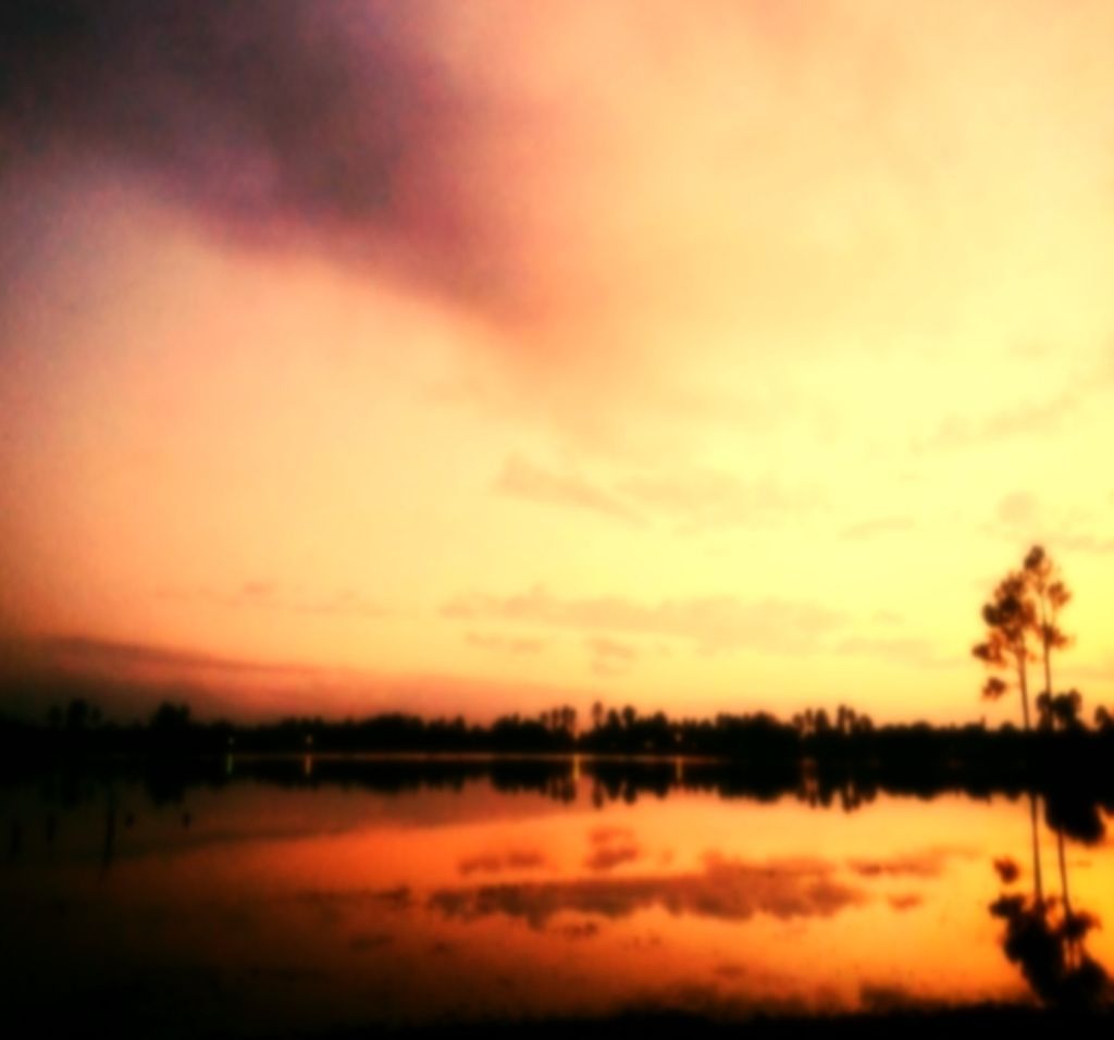 Alleged Oversight Allows Google to Harvest User Data from Incognito Mode, Claims Report