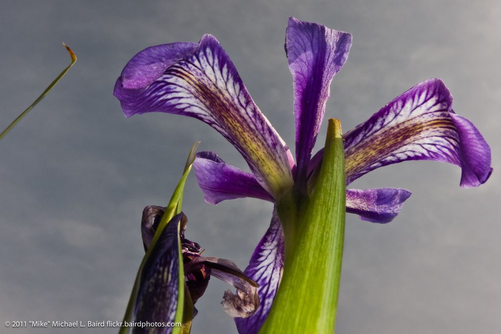 Saint Sass fashion label established by Larissa Schmidt and Vivien Wysocki.