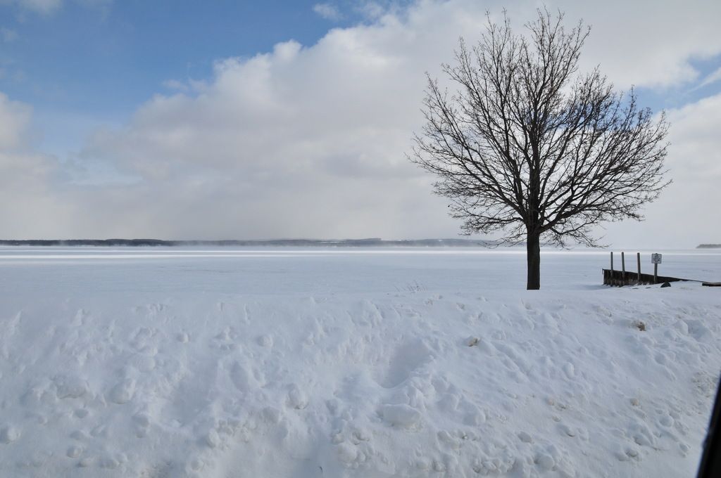 Streamlining Your Gaming: A Guide to a Sleek, Functional Setup Transforming Your Gaming Experience