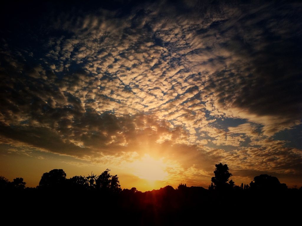 Decoding the secret messages concealed within common emojis. Learn how diverse cultures interpret...