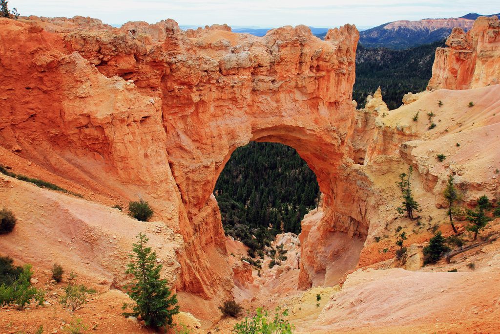 Top-Notch Anime Antagonists: Delve into their defining characteristics, legendary confrontations,...