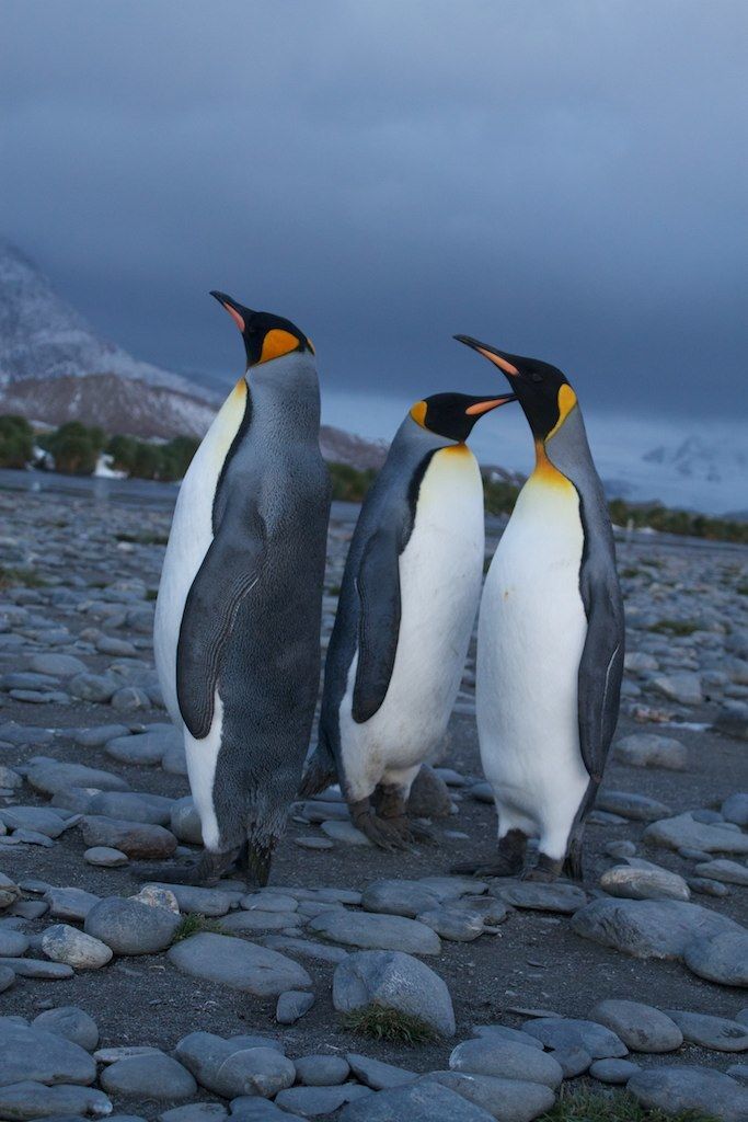 Vodafone Business Germany drives into the forefront of cybersecurity, rolling out top-tier...