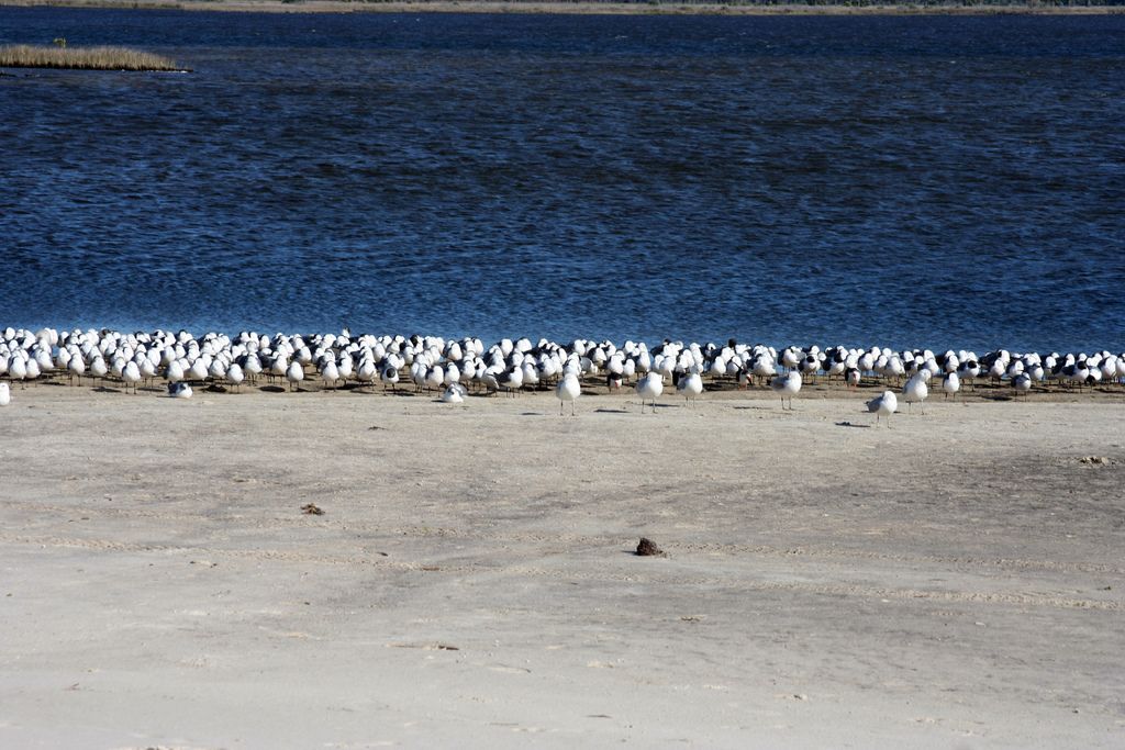 Google Messages Introduces Long-Awaited Snooze Function for Users.